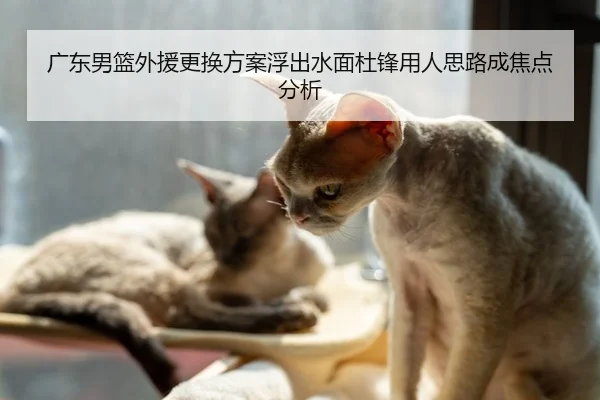 广东男篮外援更换方案浮出水面杜锋用人思路成焦点分析